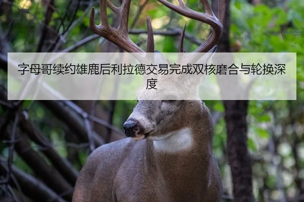 zi-mu-ge-xu-yue-xiong-lu-hou-li-la-de-jiao-yi-wan-cheng-shuang-he-mo-he-yu-lun-huan-shen-du-2-991.jpg
