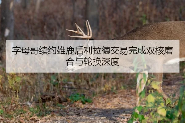字母哥续约雄鹿后利拉德交易完成双核磨合与轮换深度